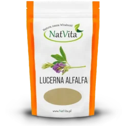 Alfalfa – Lucerna mielona