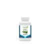 Boswellia Serrata – ekstrakt 380mg