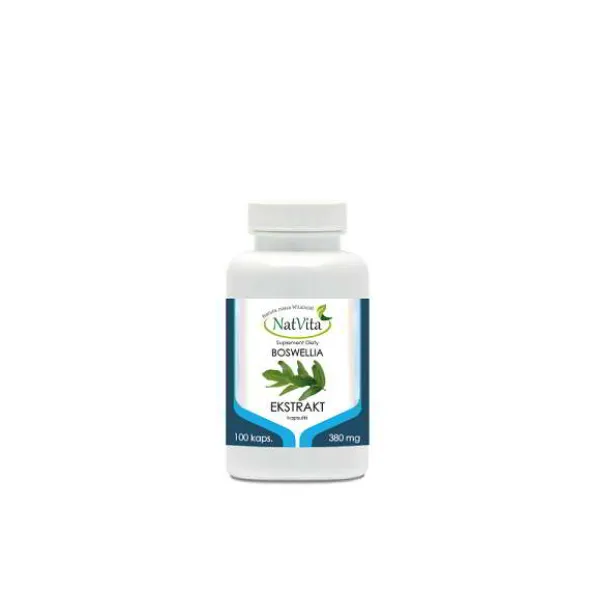 Boswellia Serrata – ekstrakt 380mg