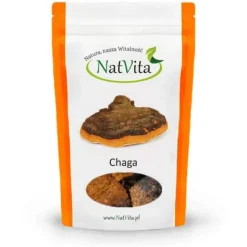 Chaga, guz brzozy – kawałki