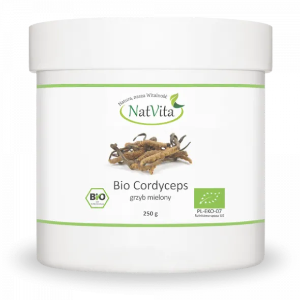 Cordyceps militaris – mielony Bio