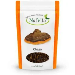 Grzyb Chaga – rozdrobniony