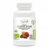 Grzyby Witalne Bio – kapsułki 400mg