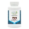 Mangostan – ekstrakt 4:1 kapsułki 500mg