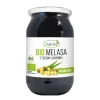 Melasa Trzcinowa z Paragwaju bio